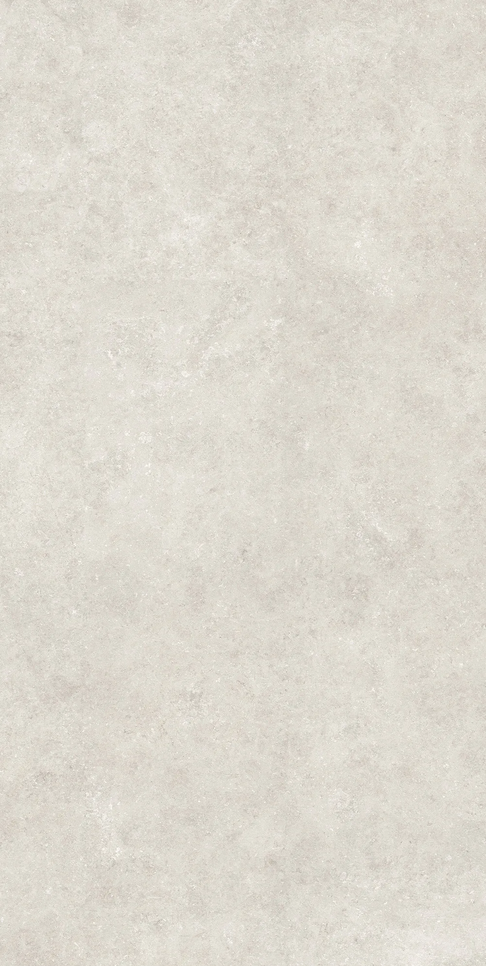 Fossil full stone slab